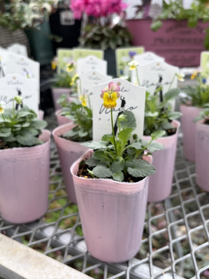 764